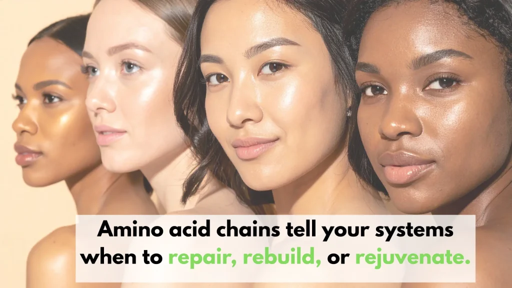 amino acid chains 101